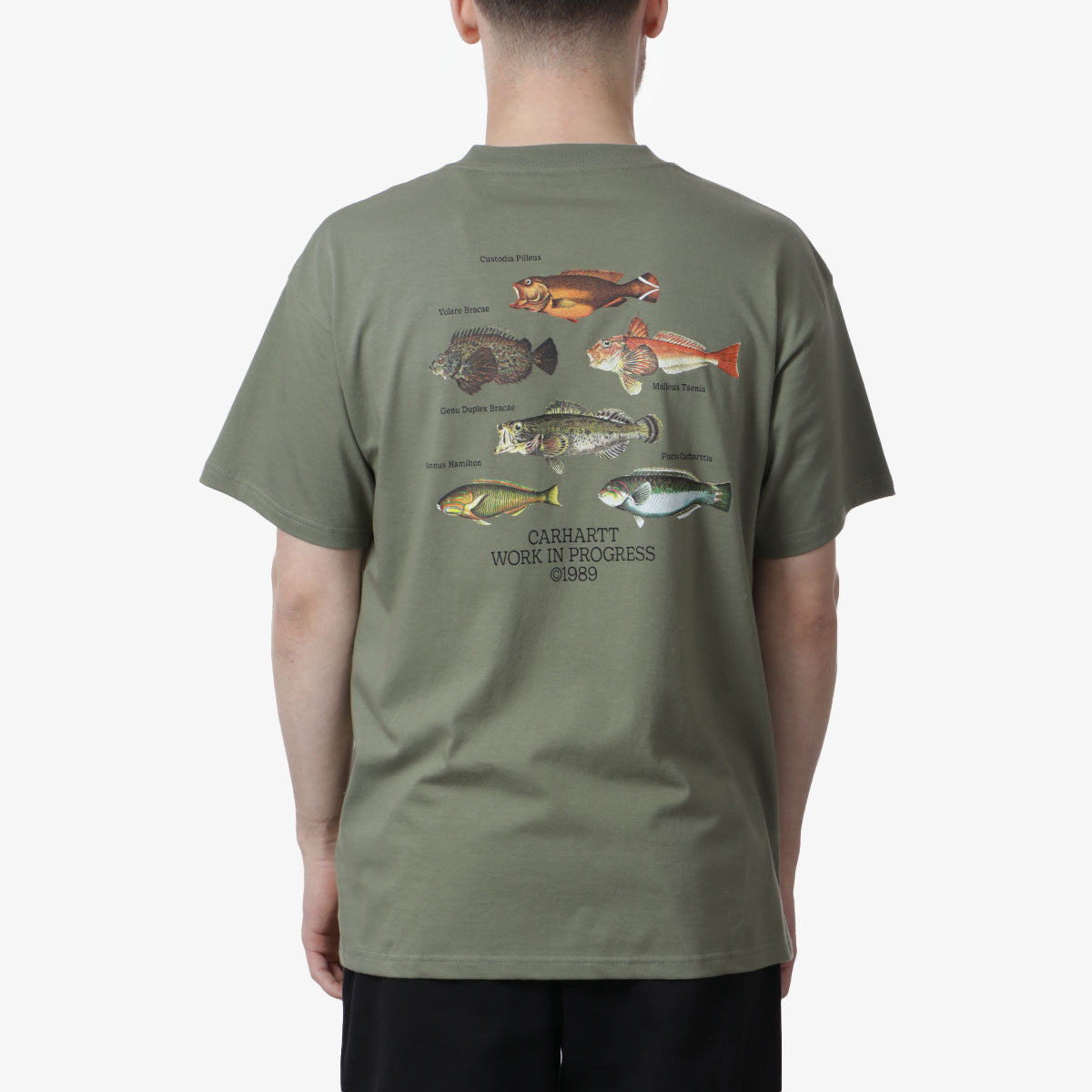 Carhartt WIP Fish T-Shirt - Dollar Green – Urban Industry