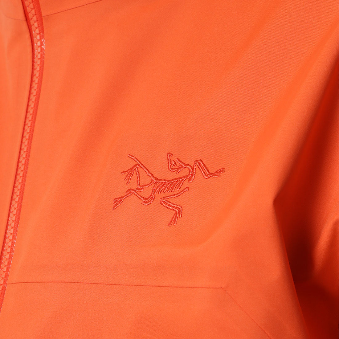 Arc'teryx Beta Jacket, Solaris, Detail Shot 4