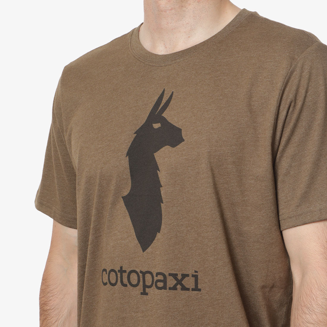 Cotopaxi Llama T-Shirt, Live Oak, Detail Shot 2