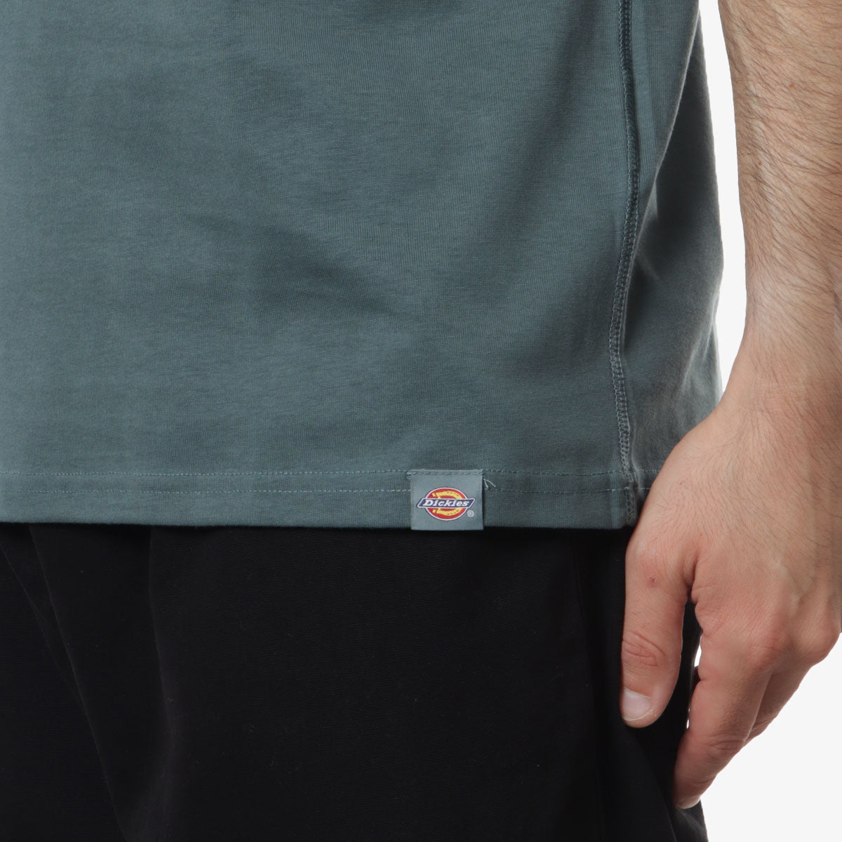 Dickies Globe T-Shirt, Lincoln Green, Detail Shot 4