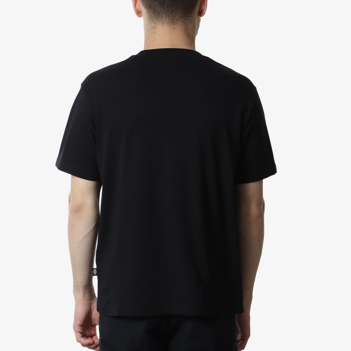 Dickies Mapleton T-Shirt, Black, Detail Shot 3