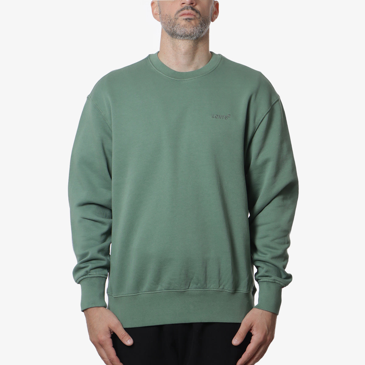 main Levi's Authentic Crewneck Sweatshirt, Myrtle Garment Dye Myrtle, Detail Shot 1