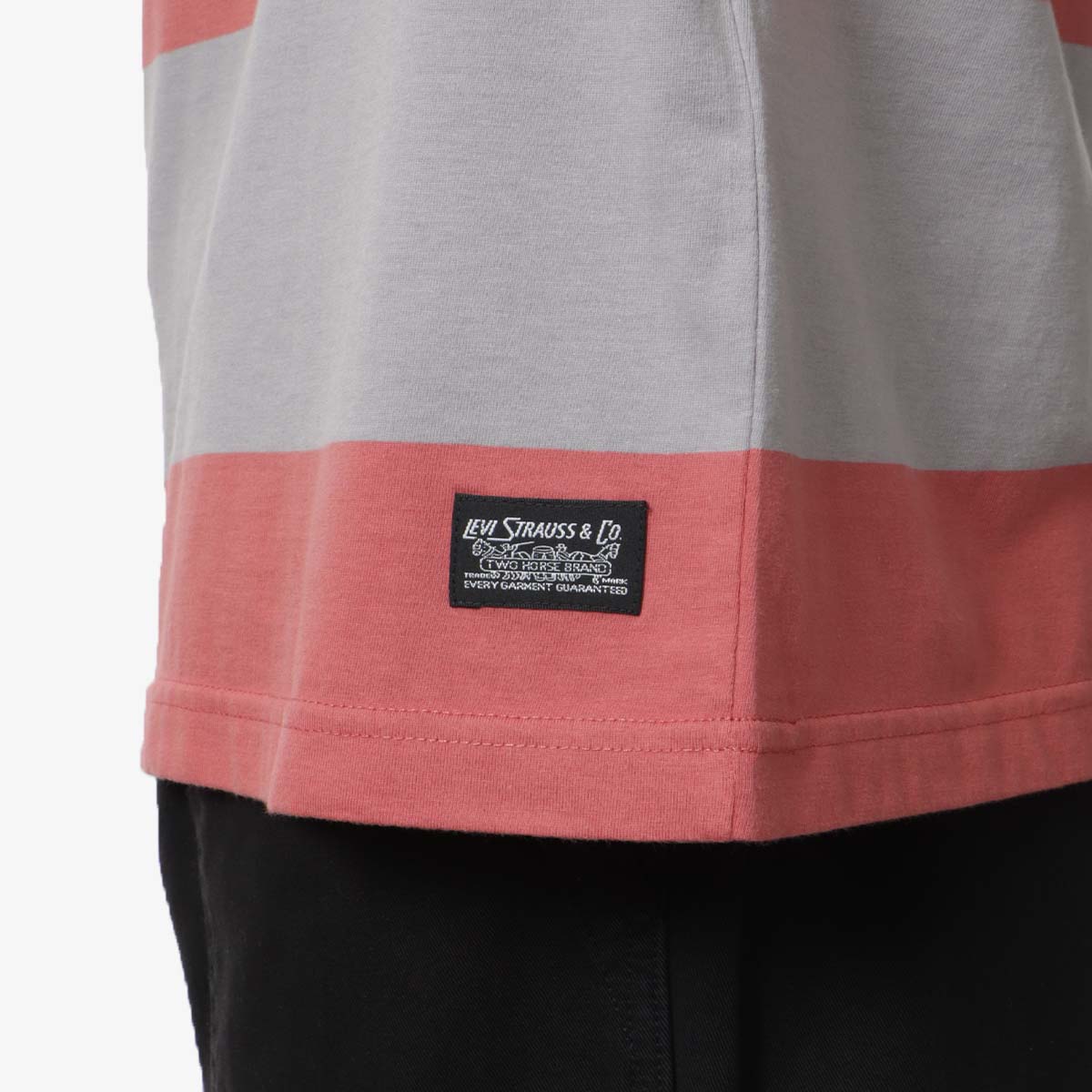 main Levis Skateboarding Graphic Boxy T-Shirt, Everyday Now Mauve, Detail Shot 3