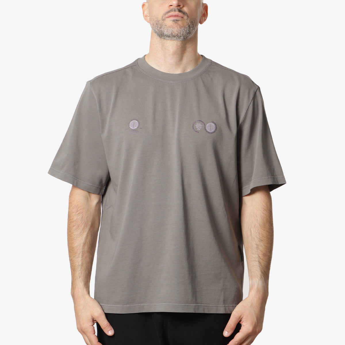 Purple Mountain Observatory Globe T-Shirt