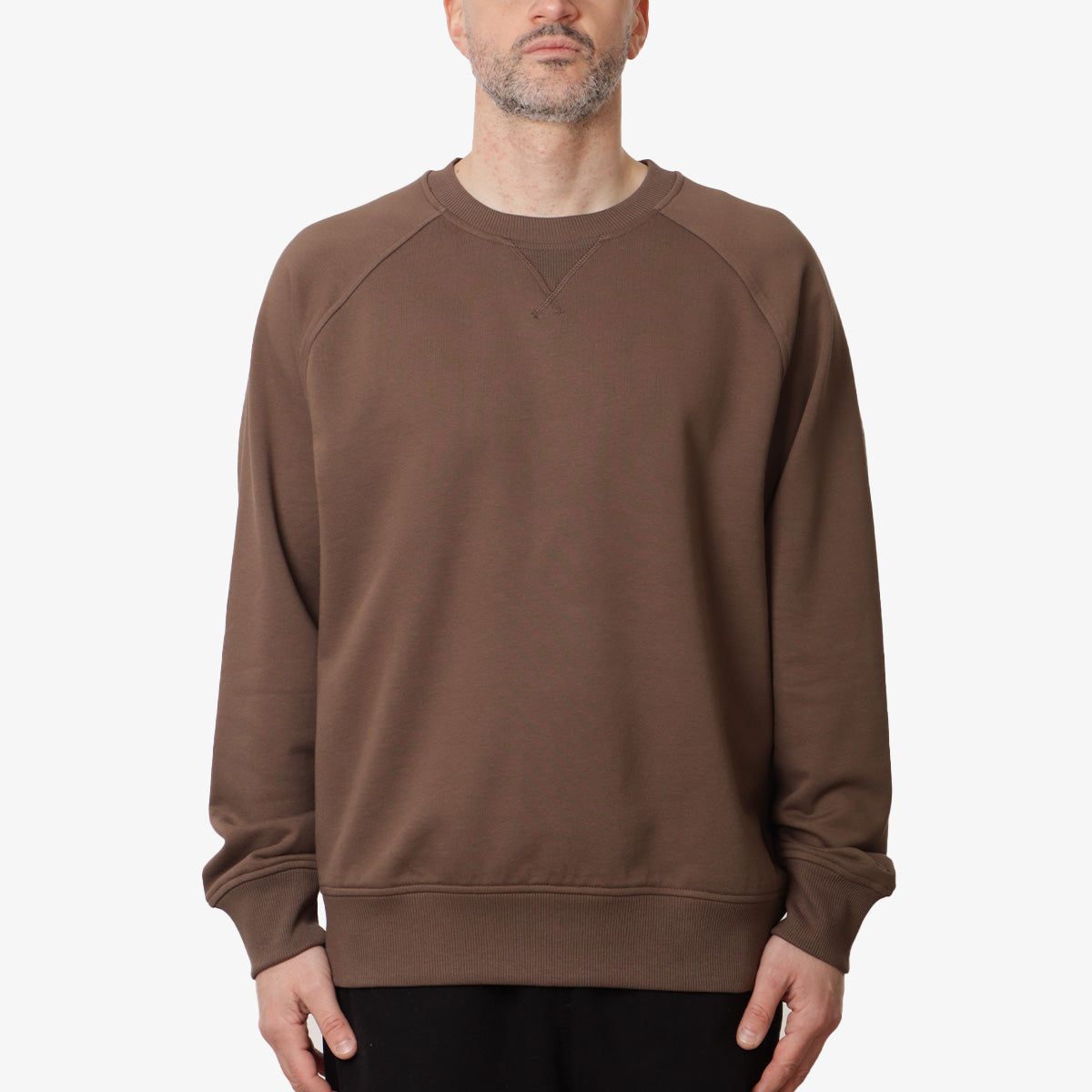 The North Face Logo RMST Relaxed Crew Sweatshirt