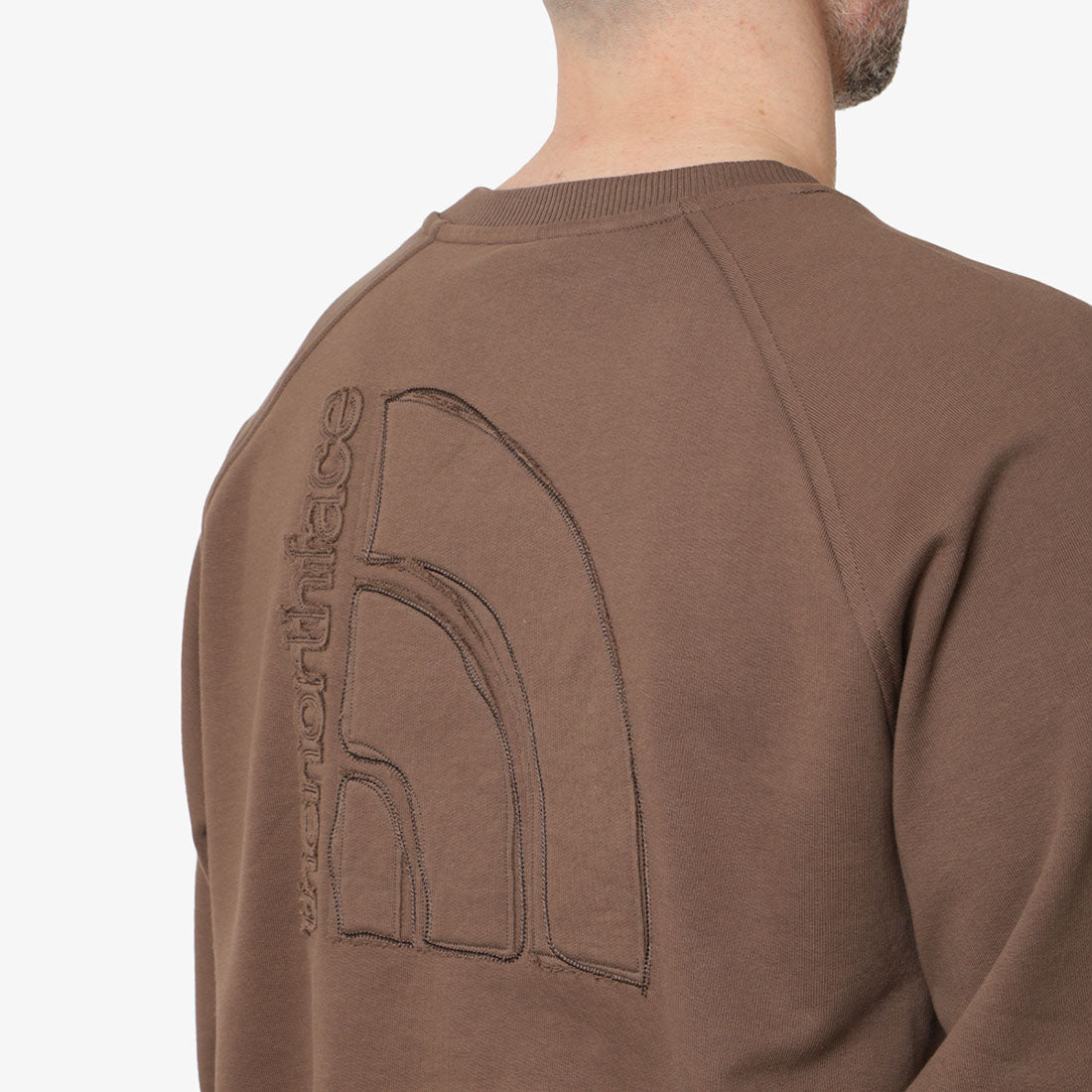 The North Face Logo RMST Relaxed Crew Sweatshirt