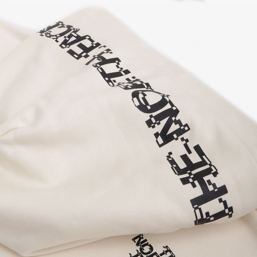 main The North Face NSE Graphic Pullover Hoodie, White Dune, Detail Shot 6