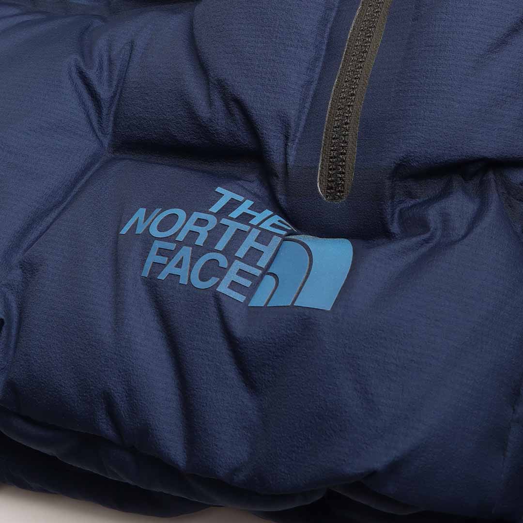 North face hot sale silver jacket