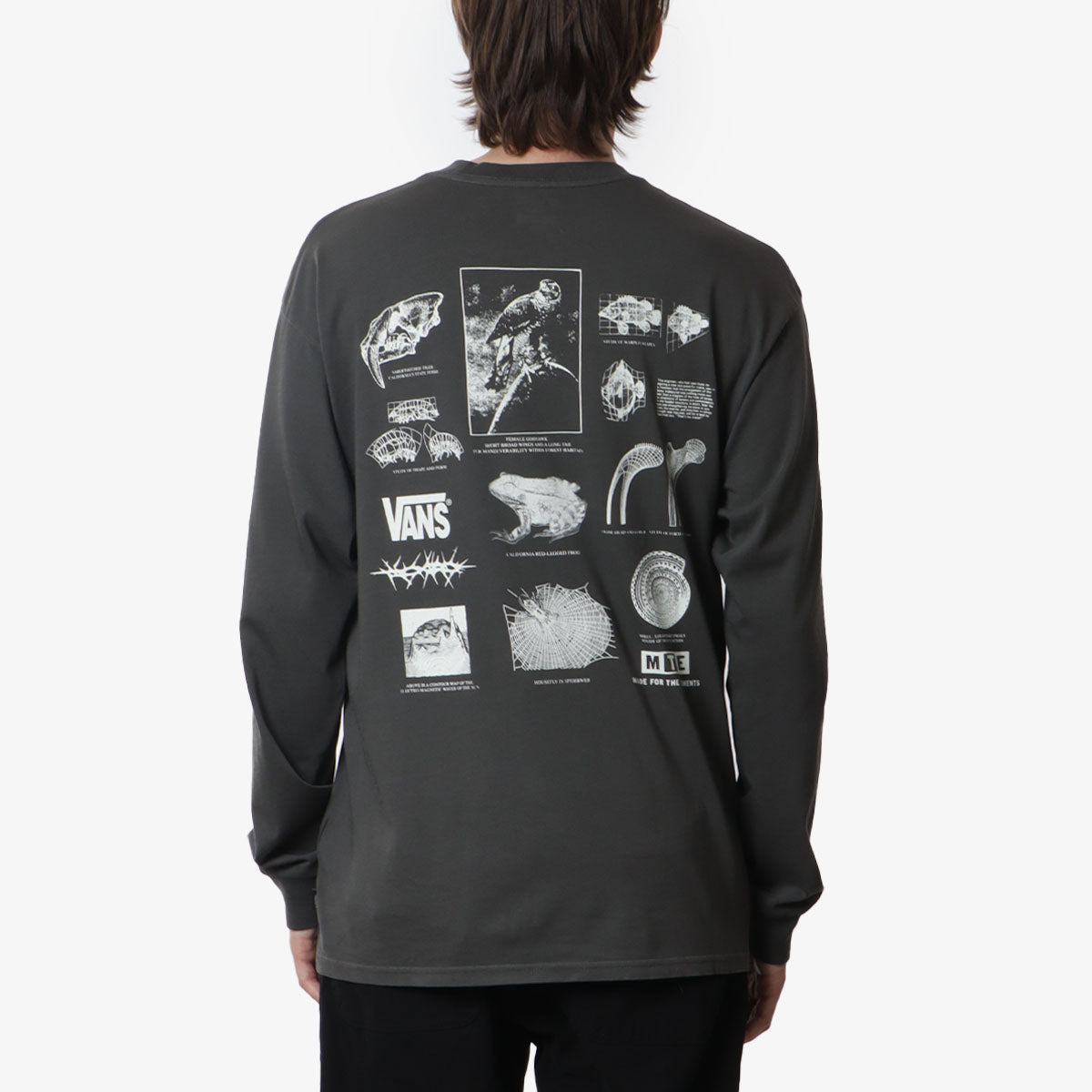 Vans MTE Brain Storms Long Sleeve T-Shirt, Black, Detail Shot 1